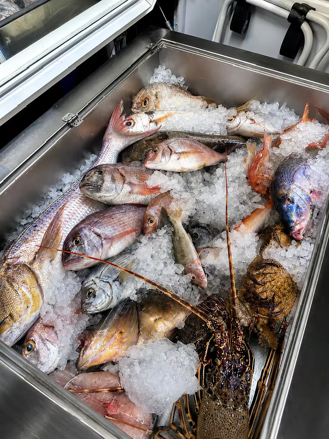 Photo of freshly cooked fish